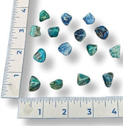 Tumbled chrysocolla stones with a ruler for scale on a white background