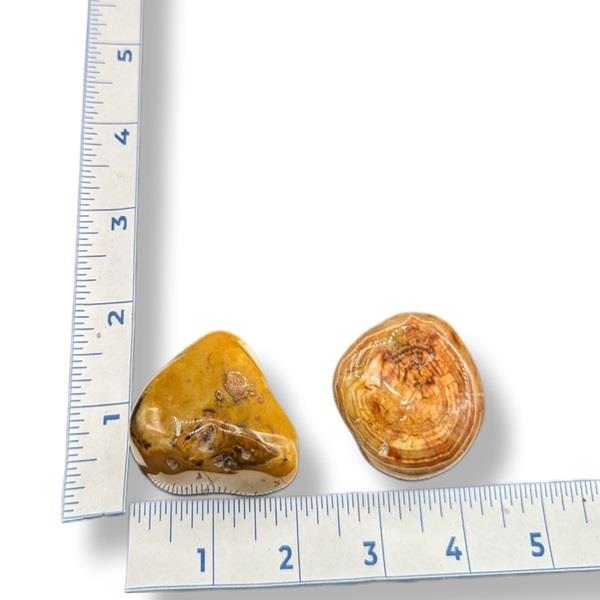 Carnelian Tumbled 61g Approximate