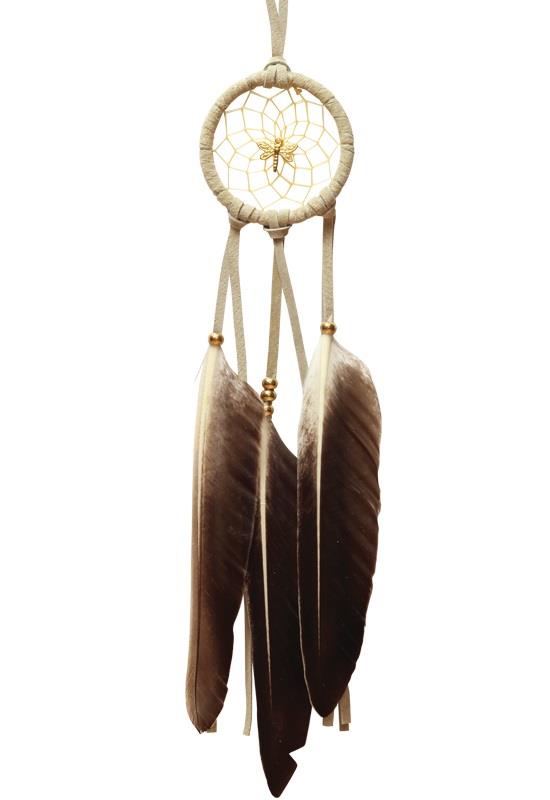 Dreamcatcher Woodland with Dragonfly