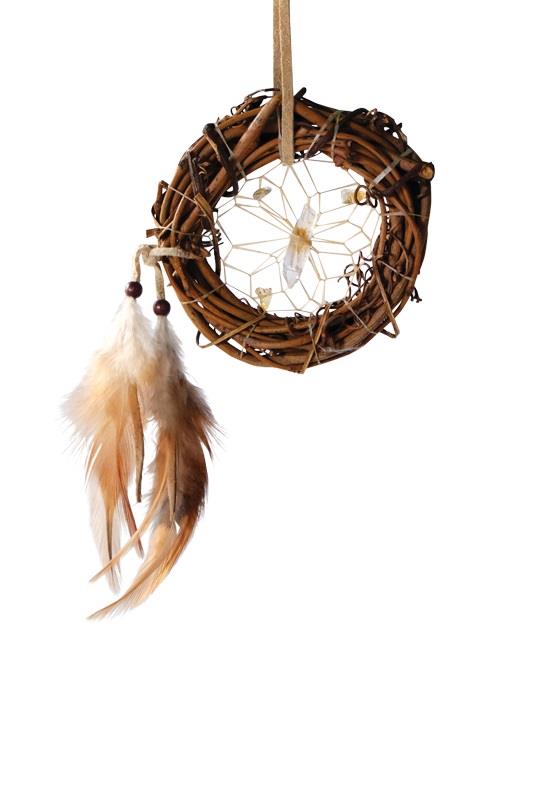 Vision Seeker Dream Catcher Twig
