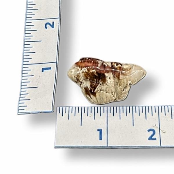 Rooster Tail Quartz Tumbled 18g Approximate