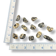 Rocks of various sizes next to a ruler on a white background