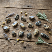 A set of polished black and cream jasper tumbled stones arranged on a rustic wooden surface, styled with dried lavender and sage leaves.