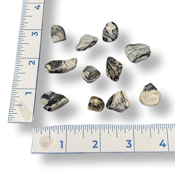 Silver Leaf Jasper