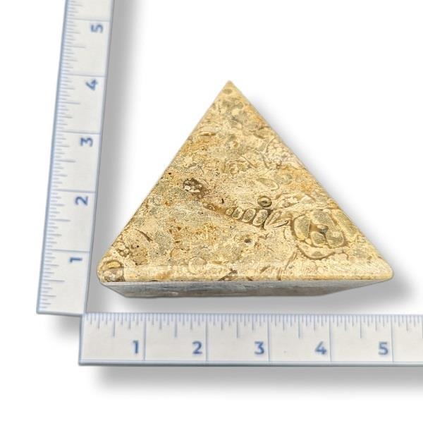 Fossil Pyramid 482g Approximate