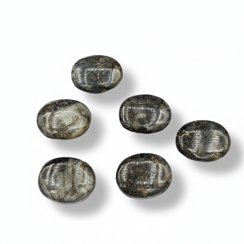 Labradorite palm stones on a white background