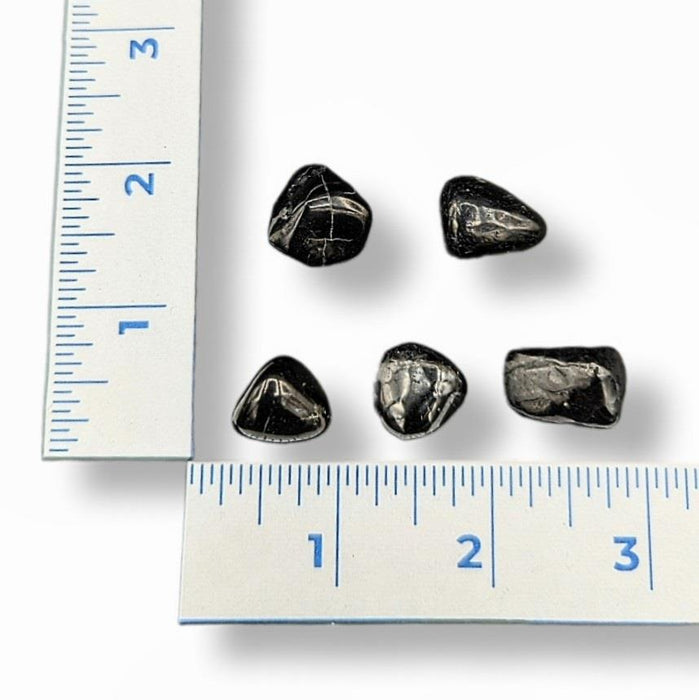 Shungite Tumbled