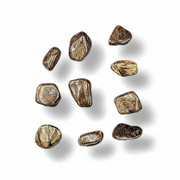 Nine small irregular brown and tan pieces with a textured, stone-like surface arranged on a white background with soft drop shadows.
