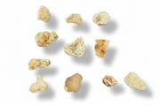 Nine irregular, rough snake skin agate with  shades of beige, tan, and light brown, arranged on a plain white background with soft drop shadows.