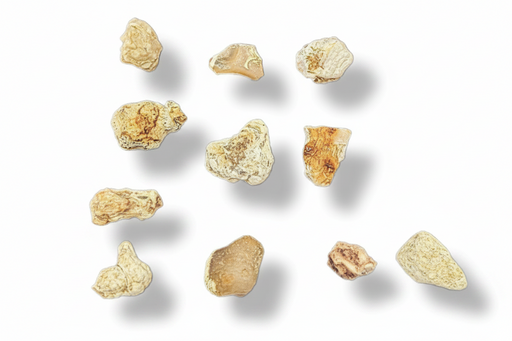 Nine irregular, rough snake skin agate with  shades of beige, tan, and light brown, arranged on a plain white background with soft drop shadows.
