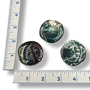 Three greenish stones with a ruler for scale on a white background