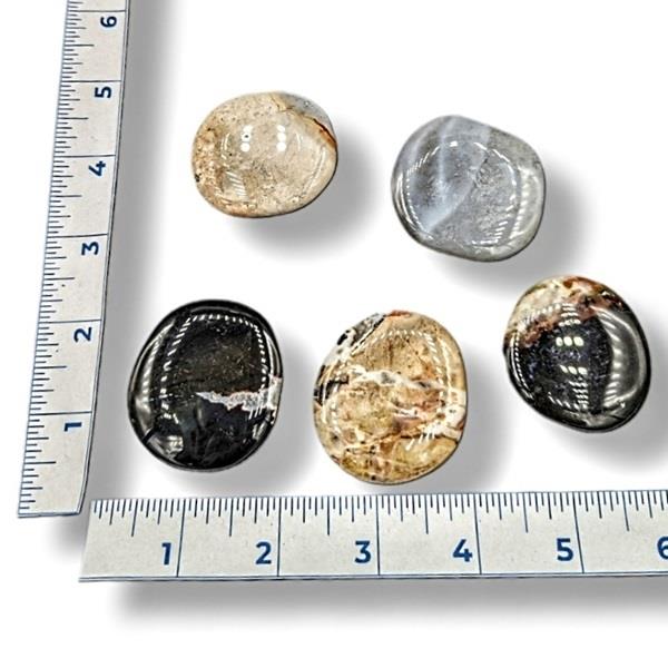 Rocks Sardonyx Earth Stones
