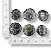 Set of six circular stone objects with a ruler for scale on a white background