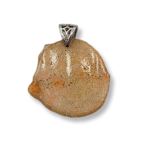 Pendant Sponge Coral