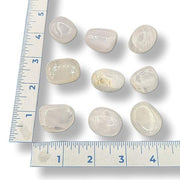 Set of stones on a white background with a ruler for scale