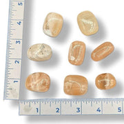 Set of rocks next to a ruler on a white background