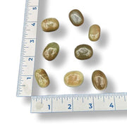 Green chalcedony  stones on a white surface with a ruler for scale.