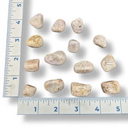 Set of Tanzanite next to a ruler on a white background