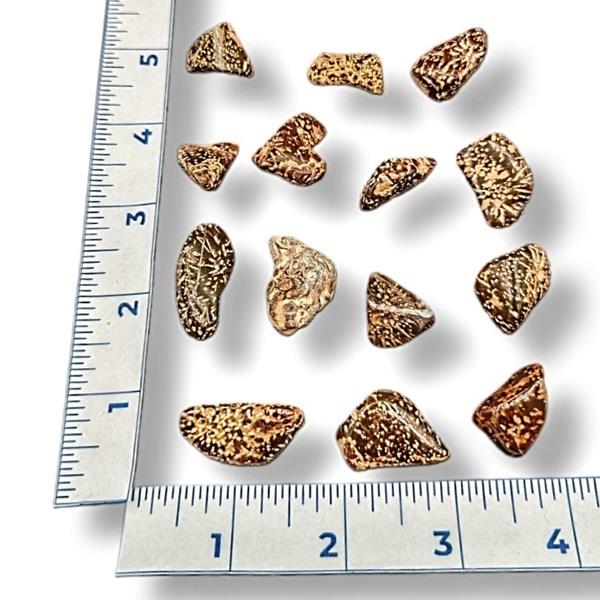 Starburst Jasper Tumbled