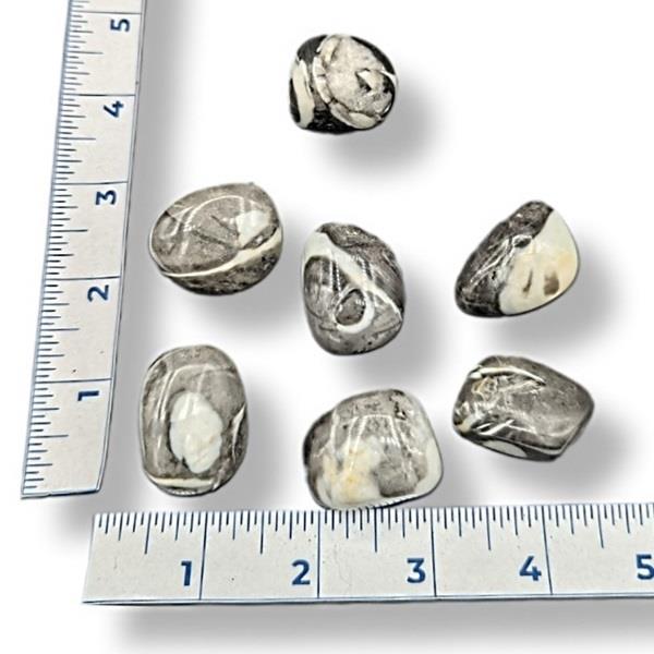 Clamshell Jasper Tumbled