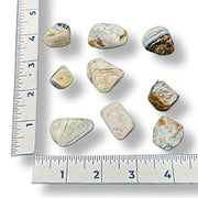 Set of rocks with a ruler for scale on a white background