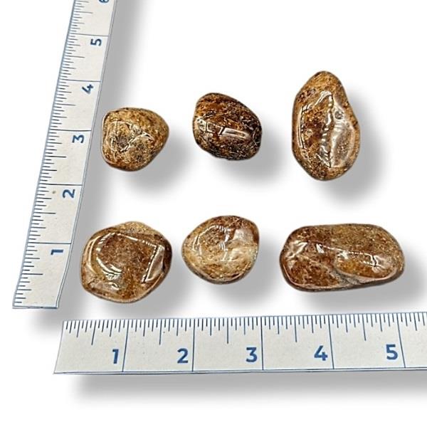 Hessonite Garnet Tumbled Large