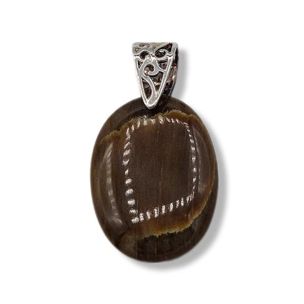 Pendant Petrified Wood