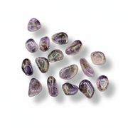A group of polished tumbled ametrine gemstones in various teardrop shapes, arranged on a clean white background with soft drop shadows.