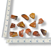 Assorted polished stones on a white background with a ruler for scale.