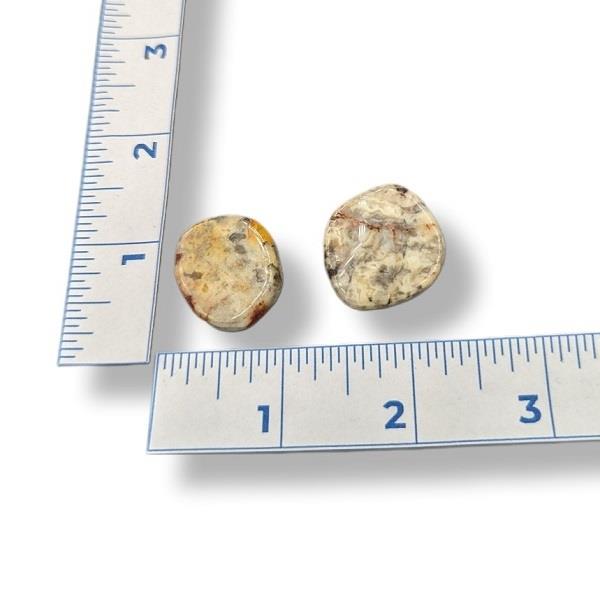 Crazy Lace Agate Disk