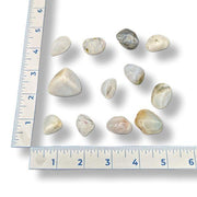 Set of small stones with a ruler for scale on a white background