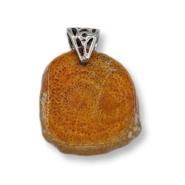 Pendant Sponge Coral