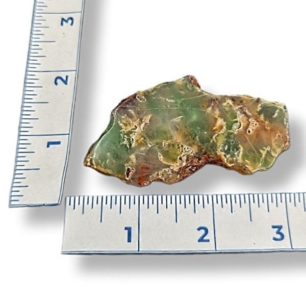 Chrysoprase Polished 22g Approximate