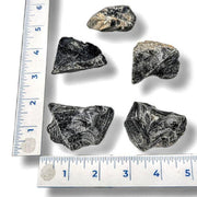 Five black obsidian pieces next to rulers 