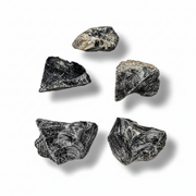 Five raw black obsidian stones  arranged on a white background with soft drop shadows.
