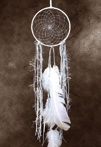 Dreamcatcher Winter