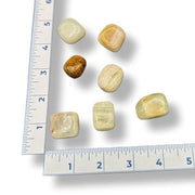 Seven beige stones on a white surface with a ruler for scale.