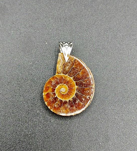Pendant Ammonite