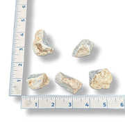 Five rocks of varying sizes on a white background with a ruler for scale.