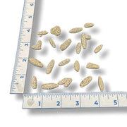 Small oval-shaped calcite minerals next to a ruler on a white background