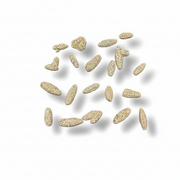 A set of small, irregularly shaped beige stone chips or gravel pieces arranged in a loose cluster on a plain white background with soft drop shadows.