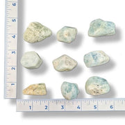 Assorted stones with a ruler for scale on a white background