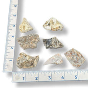 Mineral samples with a ruler for scale on a white background