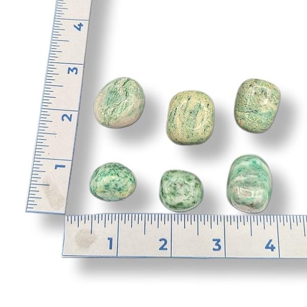 Several pieces of Fuchsite in Quartz tumbled crystals of varying sizes placed on a measuring tape for scale.