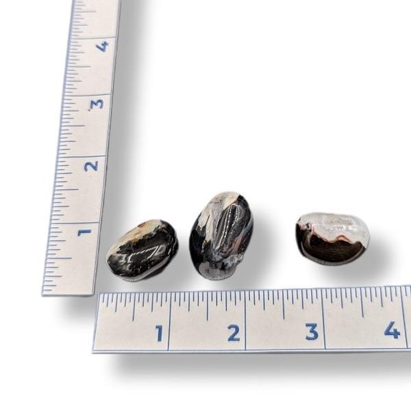 Black Sardonyx Tumbled
