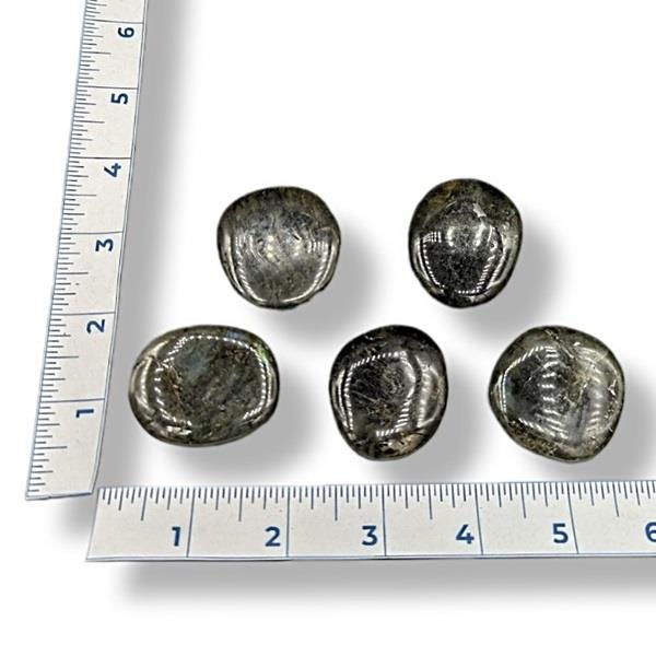 Labradorite Palmstone