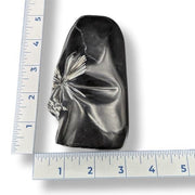 Chrysanthemum Stone on a white background with rulers for scale.