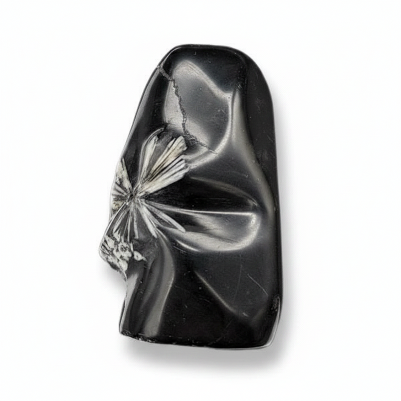 A polished Chrysanthemum Stone shown on a clean white background.