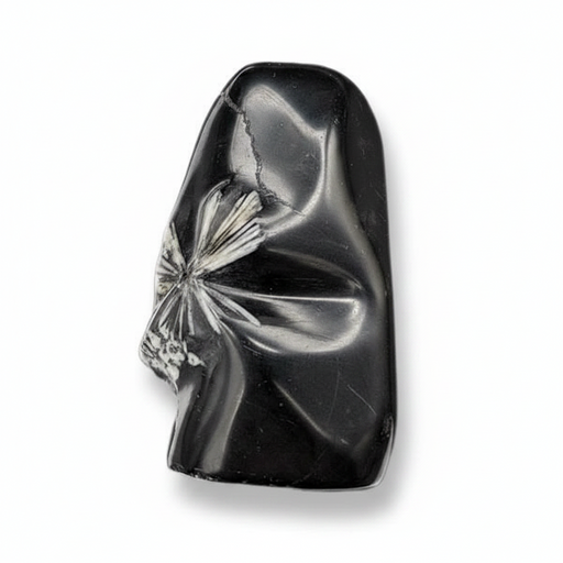 A polished Chrysanthemum Stone shown on a clean white background.