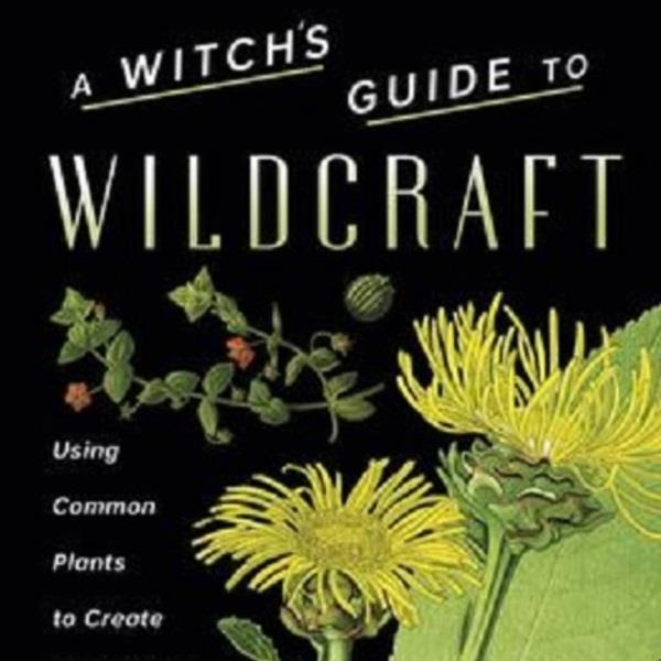 A Witch's Guide To Wildcraft